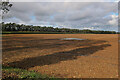 Field by Crabbe Castle Farm