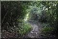 Footpath, Johnsons Farm