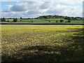 View to Gadbury Bank