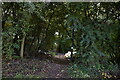 Footpath to Ash church