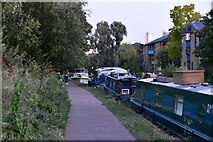 TQ3682 : Narrowboat, Regent's Canal by N Chadwick