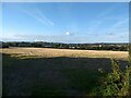 A field near Hayle