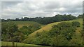 Fields near Liskeard