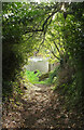 Footpath to Totnes Road