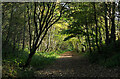 Lanchester Valley Railway Path heading east