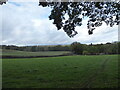 Looking across a field towards Furnace Place