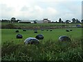 SJ9230 : Wrapped bales below Butterhill Bank by Christine Johnstone