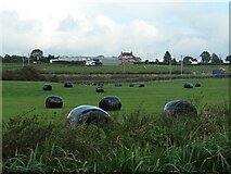SJ9230 : Wrapped bales below Butterhill Bank by Christine Johnstone