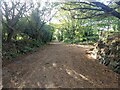 The lane to Mount Hawke Holiday village