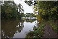 Thames Path towards Shillingford