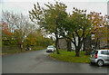 The little village green in Hainworth