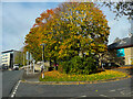 SE1422 : Autumn colours in Brighouse - Church Lane by Humphrey Bolton