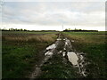 Footpath to Nocton