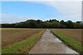 Essex Way heading towards Harrow Wood