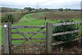 Bridleway to Linford Wood