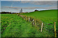 Green fields, Aghafad