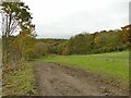 Track in a field alongside Esholt Junction