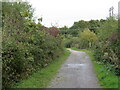 Shared path near Cowes