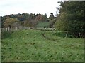 SO7594 : Sheep Field by Gordon Griffiths