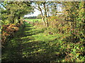 Footpath from Denmead Road to Vernons Farm