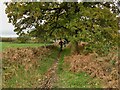 Bridleway along the edge of Bradford golf course