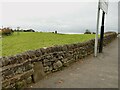 Carved stone at Four Lane Ends