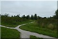 Paths near the Dee estuary