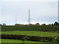 Radio transmitters at Newton Firs