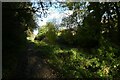 River Foss near Bowling Green Court