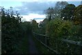 Path through the allotments