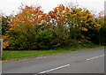 ST3190 : October 2020 colours, Pilton Vale, Newport by Jaggery