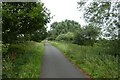 SJ3668 : Chester Millennium Greenway by DS Pugh