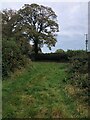 Bridleway approaching junction with Salters Lane B5392