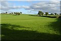 Farmland near Dymock