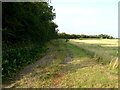 TF4917 : Farm track off Goose's Lane by JThomas