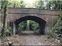 SU5174 : Track through the bridge by Bill Nicholls