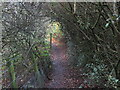 NZ3372 : Footpath, Beaumont Park, Whitley Bay by Geoff Holland
