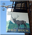 TF5413 : Sign for the Buck Inn, Tilney St. Lawrence by JThomas