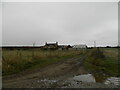 Farm buildings near Torepark