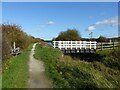 SK7129 : Bridge no.35, Grantham Canal by Alan Murray-Rust