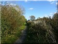SK7129 : Grantham Canal towpath near Hose by Alan Murray-Rust