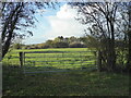 Gate into a field between North Piddle and Naunton Beauchamp