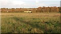 Path heading to Padbury Bridge