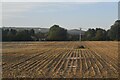 Field of stubble