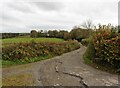 Track to East Cheldon Farm