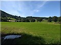 Fields near Llanbedr-y-cennin