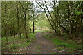 Footpath to West Chevin Rd