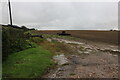 Field by Robins Folly, Cross End