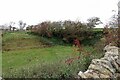 Old quarry at Sharpley