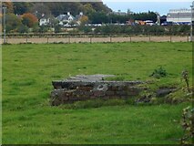NS4768 : Ruins of a shelter by Lairich Rig